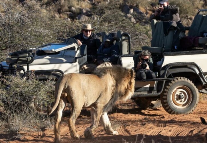 Photographic Safari at Tswalu Kalahari Reserve